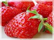 Image du commmerce Fruits et Légumes Laviolette